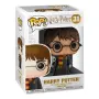 Фигурка Персонажей FUNKO POP! Harry Potter Harry w/ Hedwig (Exc) 11915(1)