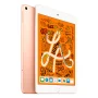 Планшет APPLE iPad mini 5 64Gb 4G/WiFi Gold (MUX72RK/A)(0)