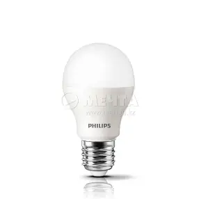 Лампа LED PHILIPS Bulb ESS 5-50W 6500K E27 холодный свет