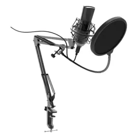 Настольный микрофон RITMIX RDM-180